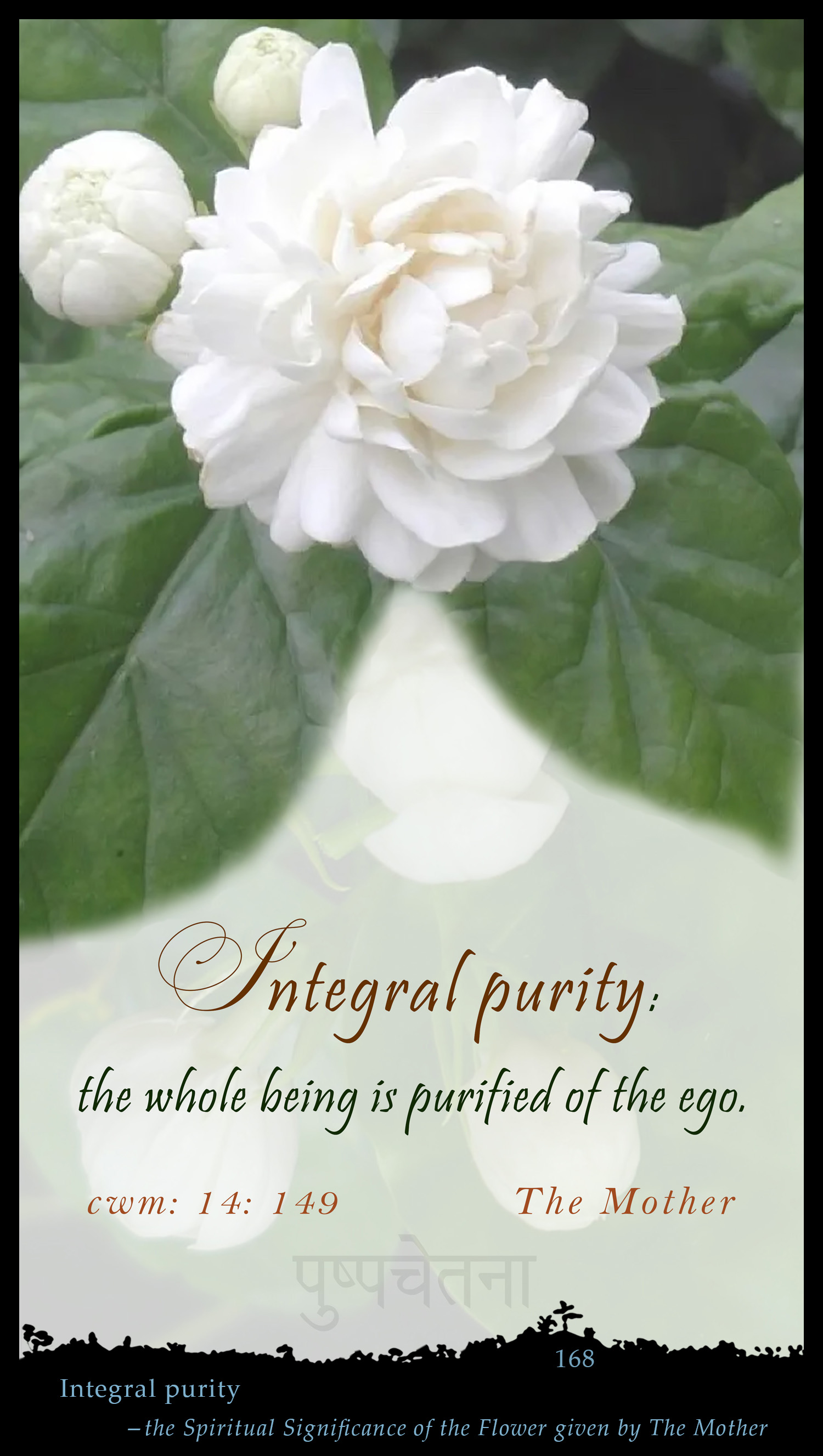 Integral Purity